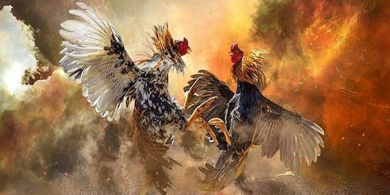 VUA99 trả thưởng nhanh gọn cho người dùng